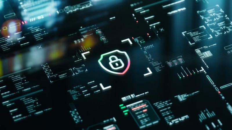 文成县软件开发公司